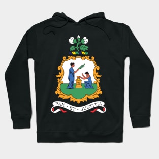 St Vincent and the Grenadines Coat of Arms Hoodie